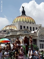 Concentraci�n en el Palacio de Bellas Artes 