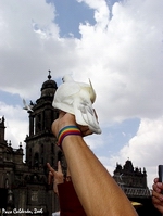 Se te par� el pajarito