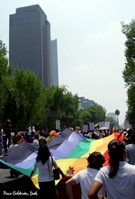 Aspecto de la bandera