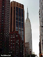 Click to enlarge  /  Looking for Spiderman 4