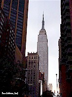 Click to enlarge   /  Looking for Spiderman 3