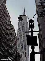 Click to enlarge  /  Looking for Spiderman