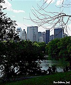 Click to enlarge   /  Central Park 1