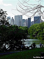 Click to enlarge   /  Central Park 2