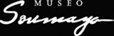 Soumaya Museum Web Site